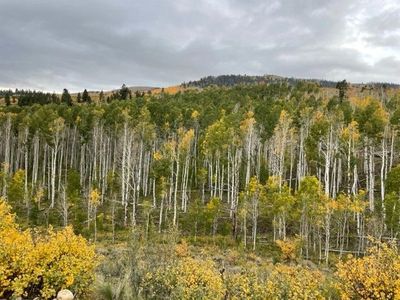 12.8 Acres of Private Mountain Recreation Near the Top of Tabby Mountain