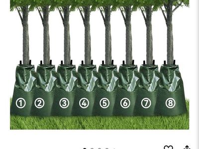 Help trees recover