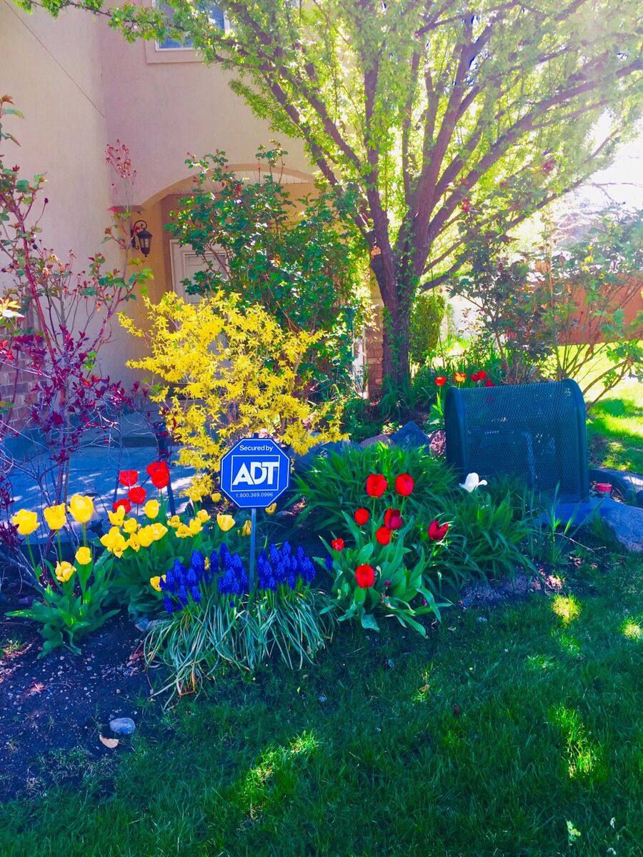 1 Bedroom Apartment in Sandy, UT