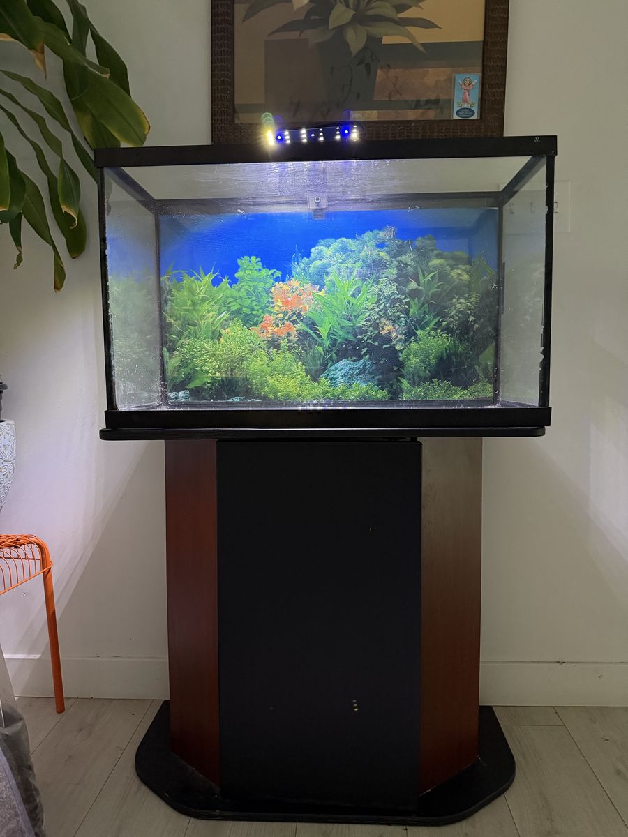 29 gallon tank and stand