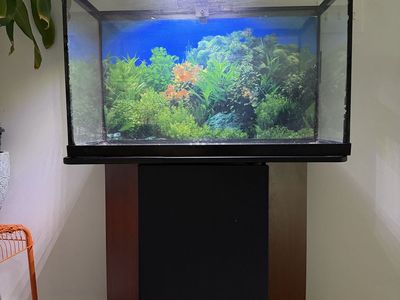 29 gallon tank and stand