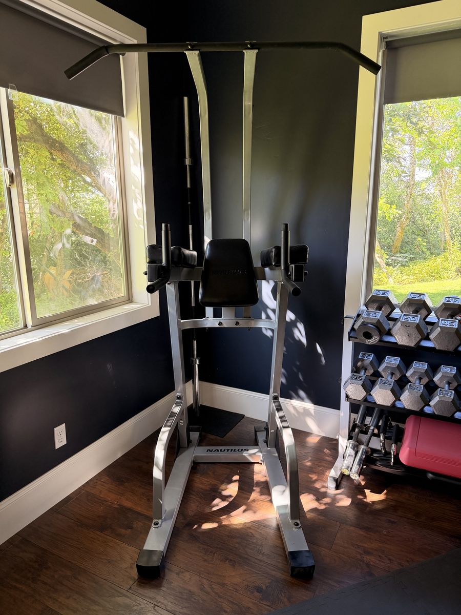 Pull Up Bar Dip Station