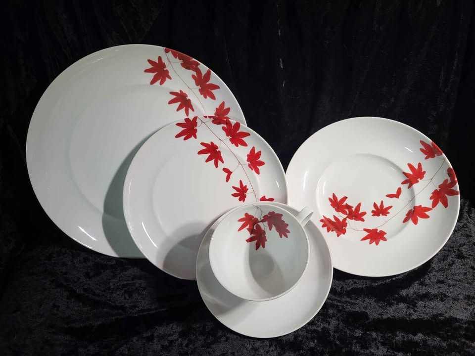 Mikasi Pure Red 162 Complete Place Setting