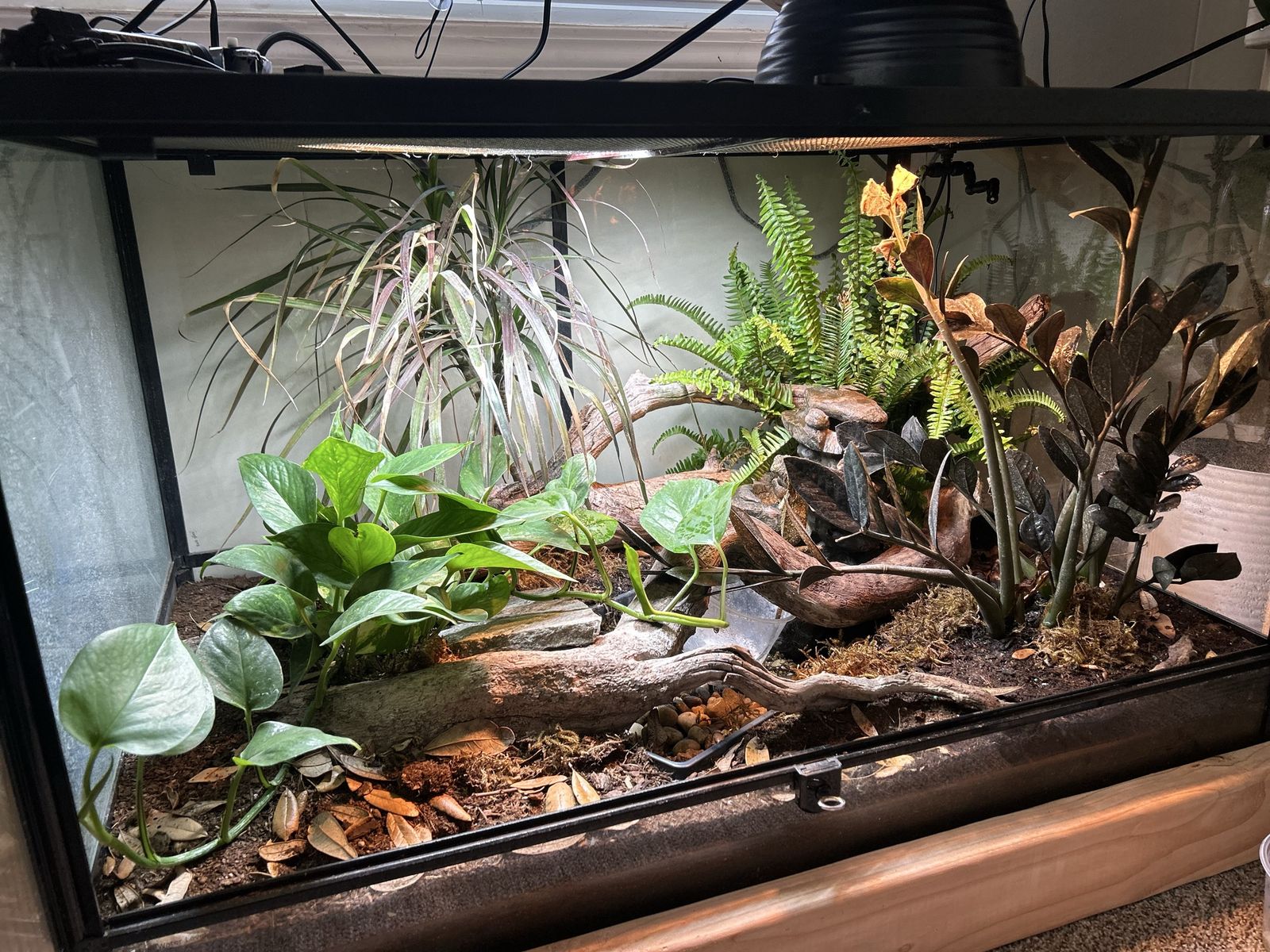 Main image 2