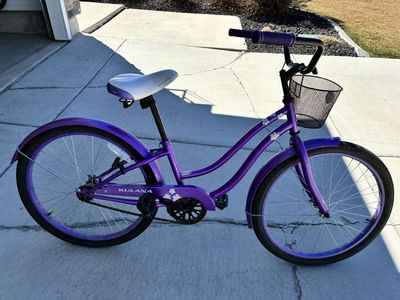 24" Cruiser Bike