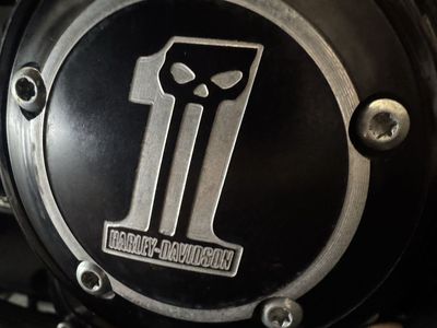Twin cam points cover Harley skull dark custom
