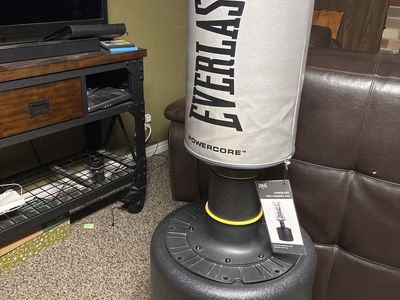 Everlast Power Core Freestanding Punching Bag