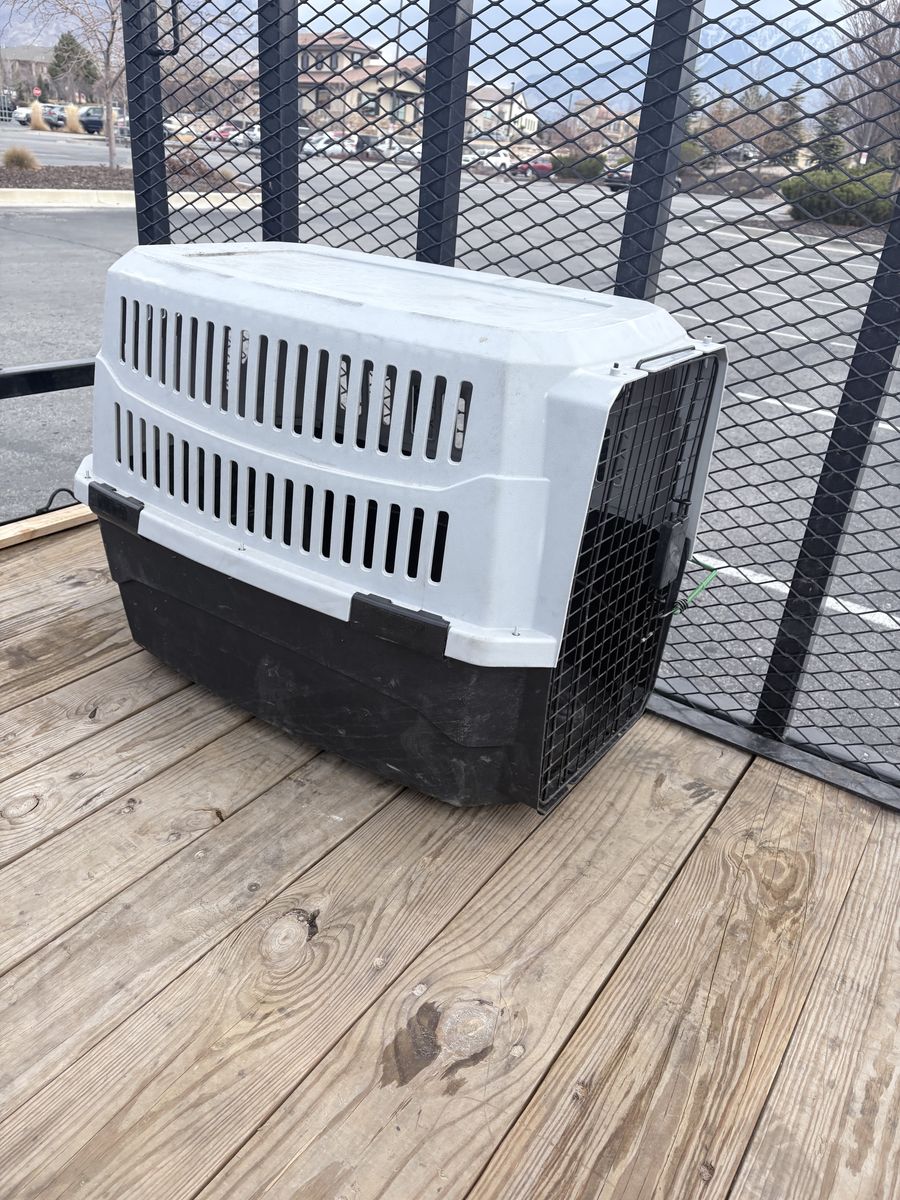 Large Kennel in great working condition