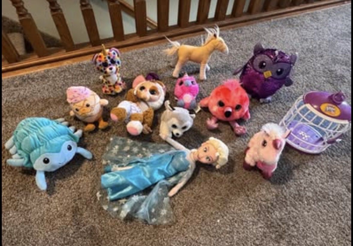 Mostly cute stuffed animals, my daughters selling.