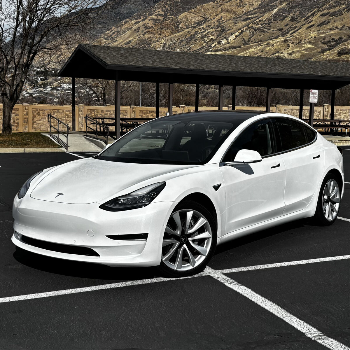 2019 TESLA MODEL 3 Long Range AWD