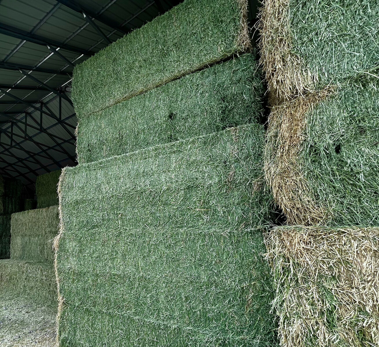 Quality Alfalfa Hay - 3x4x8 Bales - Pickup or Delivery