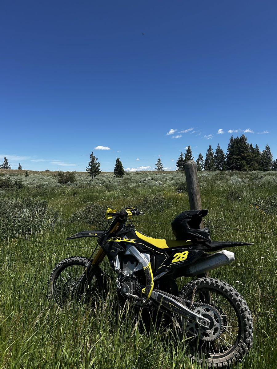 2019 rmz 450