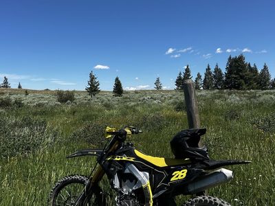 2019 rmz 450