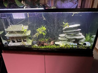 Glass Aquarium Fish Tank with Pink Cabinet Stand, Lighting, and Accessories