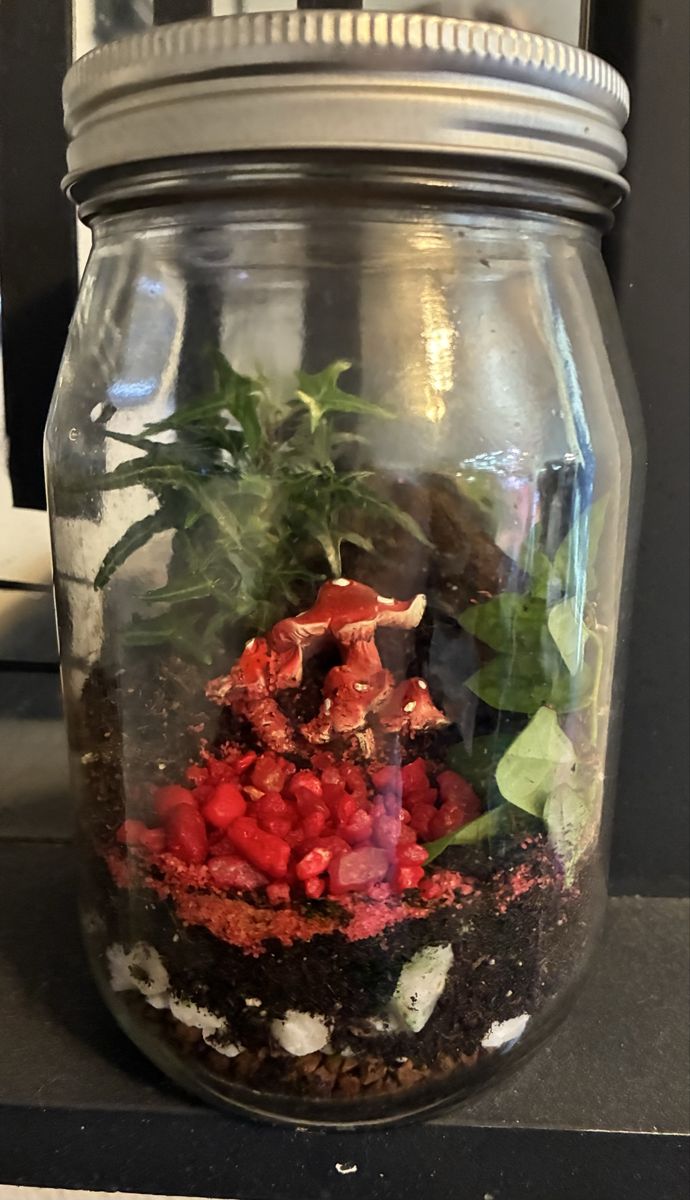 Red Mushroom Terrarium
