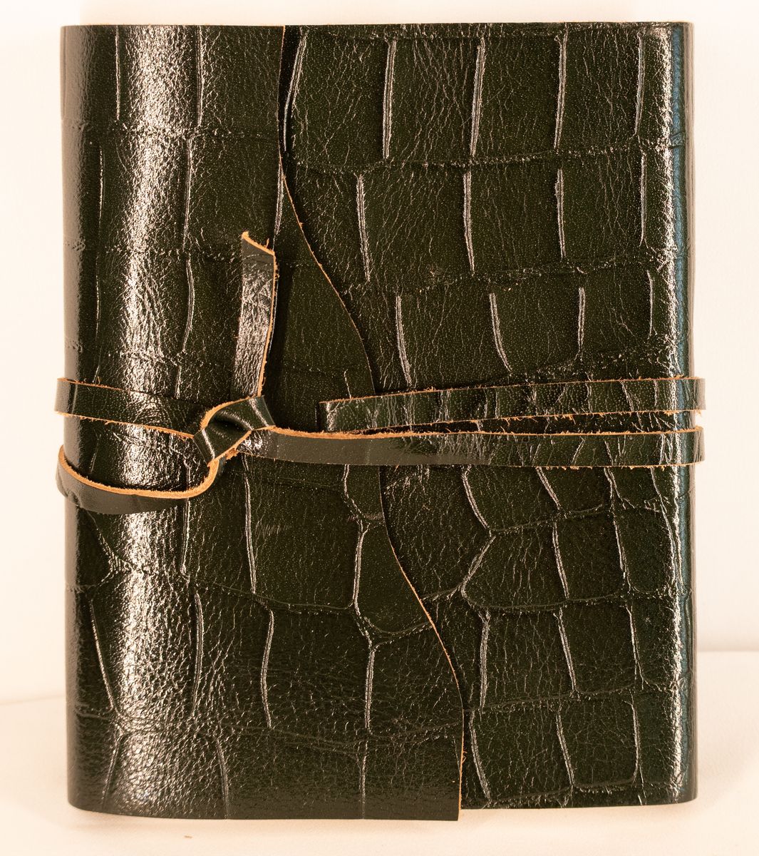 Dark Green/Black Snake Journal