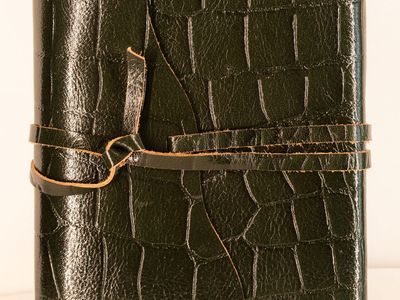Dark Green/Black Snake Journal