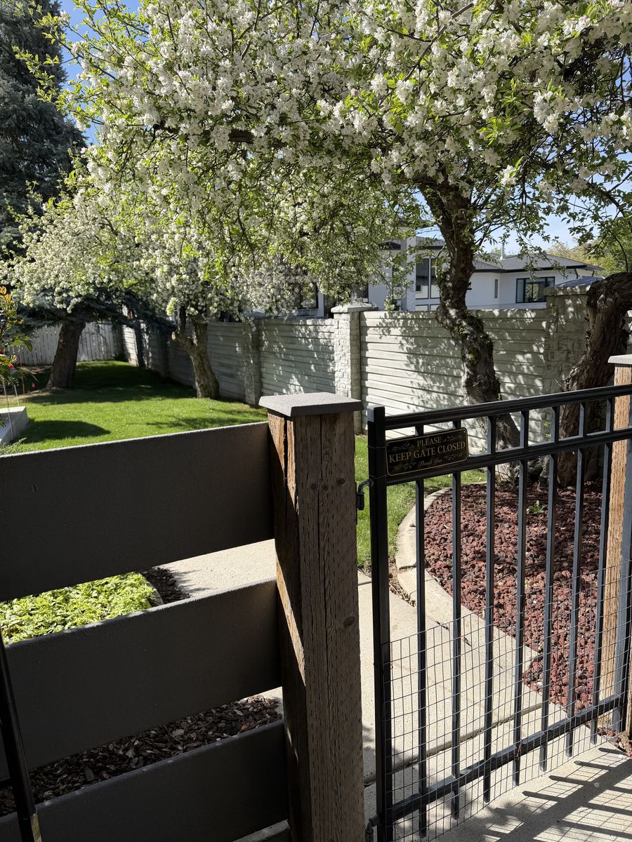 Basement Apartment for Rent