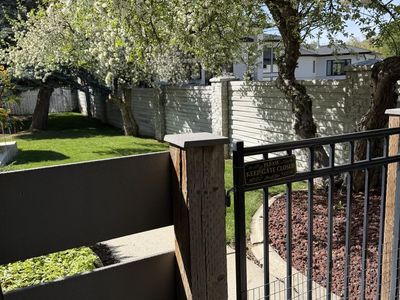 Basement Apartment for Rent