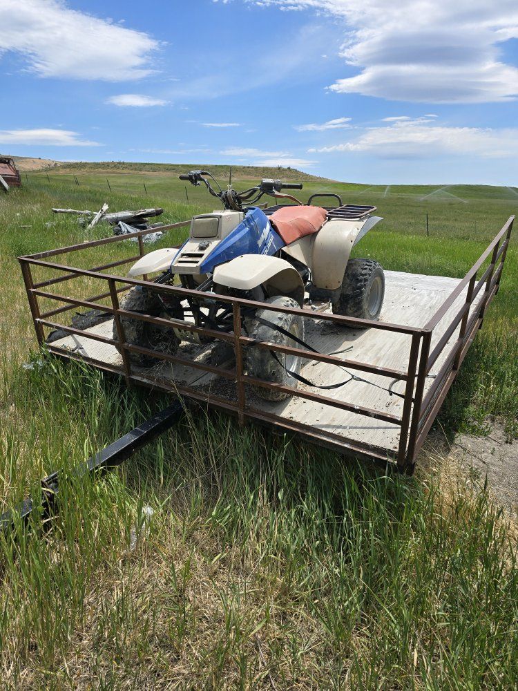 1991 Polaris Trail Boss 250