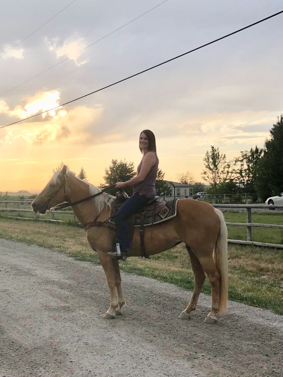 Registered TWH Palomino Mare