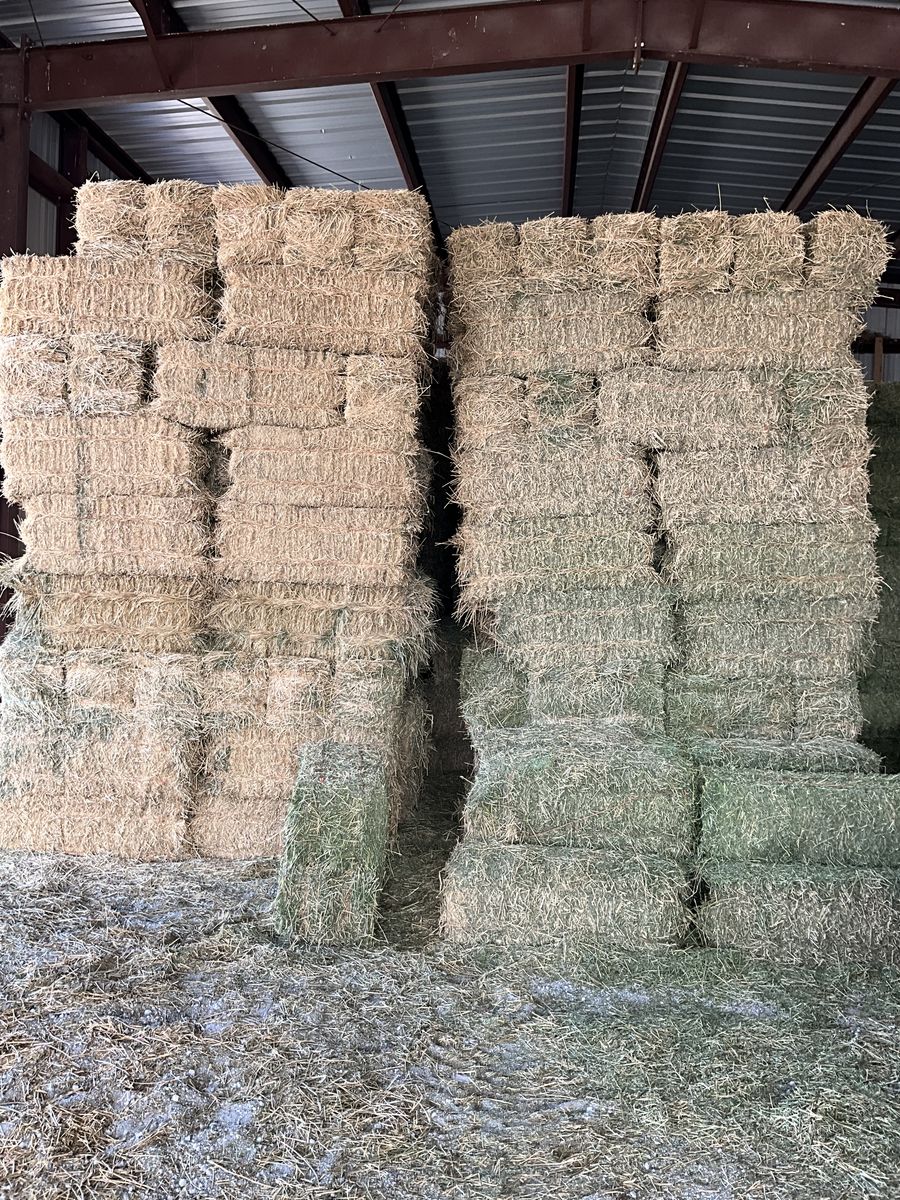Small Alfalfa Hay Bales