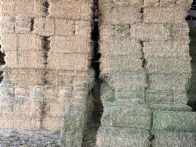 Small Alfalfa Hay Bales