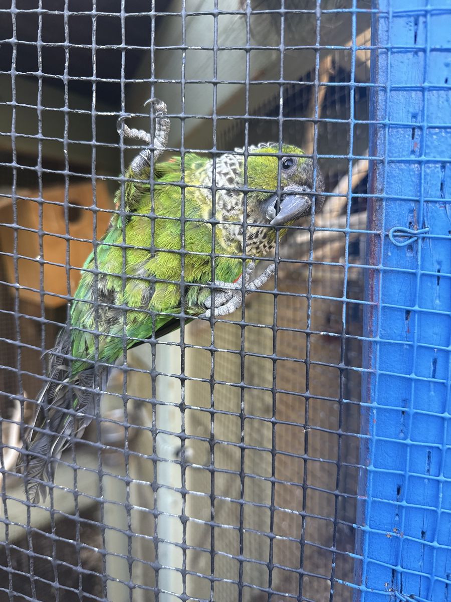 Main image 3