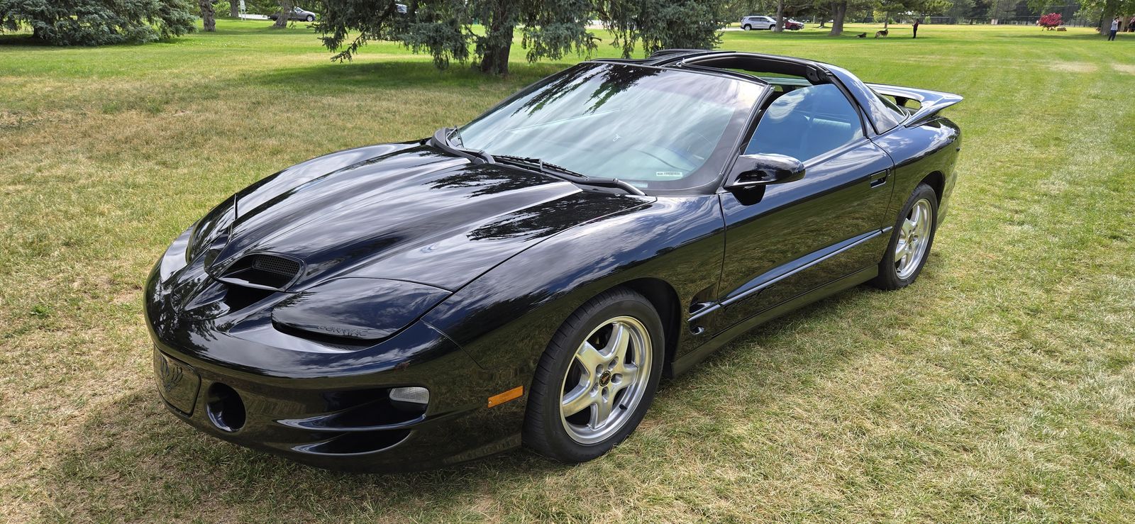2002 Pontiac Firebird Trans Am