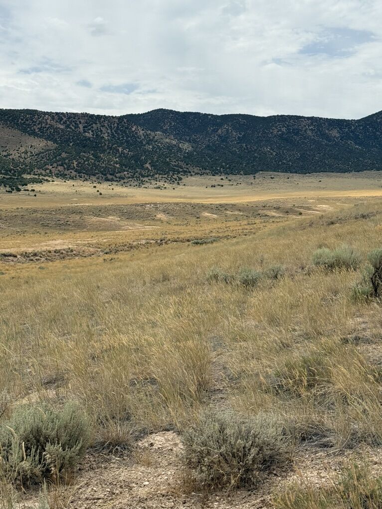 5 Acres Just South Of Yuba Lake