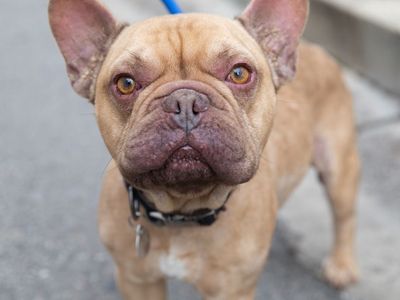 Hello my name is Brent