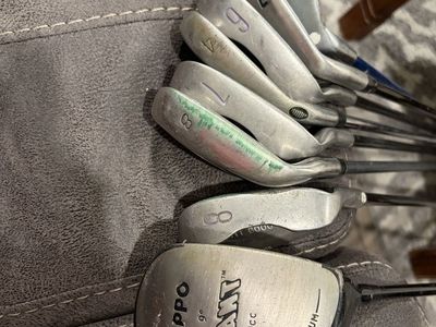 Hippo Giant Driver and Golf Iron Set
