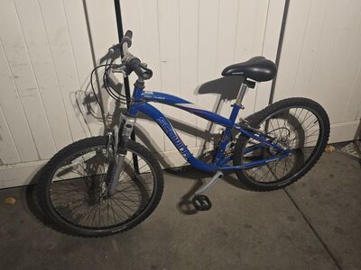 Schwinn high mountain