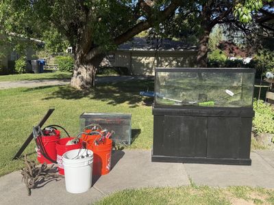 75 Gal & 35 Gal freshwater fish tanks with accessories