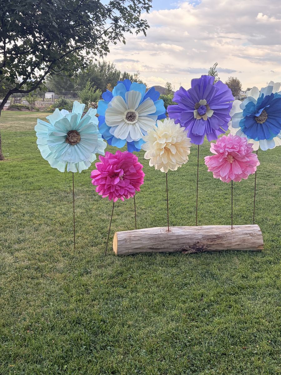 Giant Crete paper flowers/Paper lanterns 