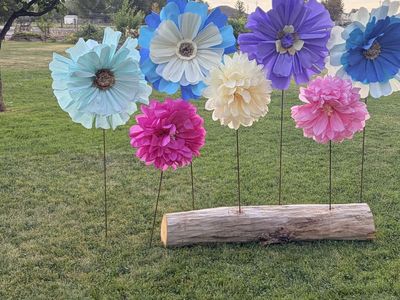 Giant Crete paper flowers/Paper lanterns