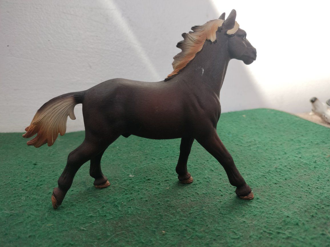 Main image 5
