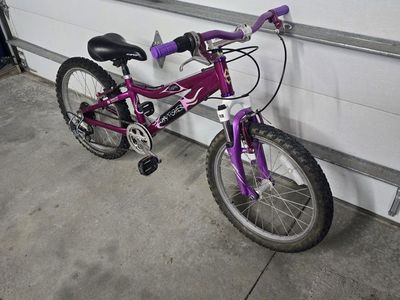 20" Gary Fisher Just tuned up