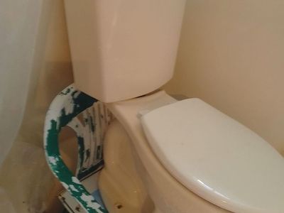American Standard toilet with a round bowl, dual-flush system, and a new seat. Rinsed it off under a hot shower