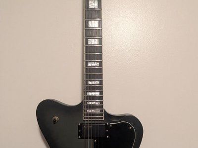 ESP LTD Bill Kelliher Signature Sparrowhawk