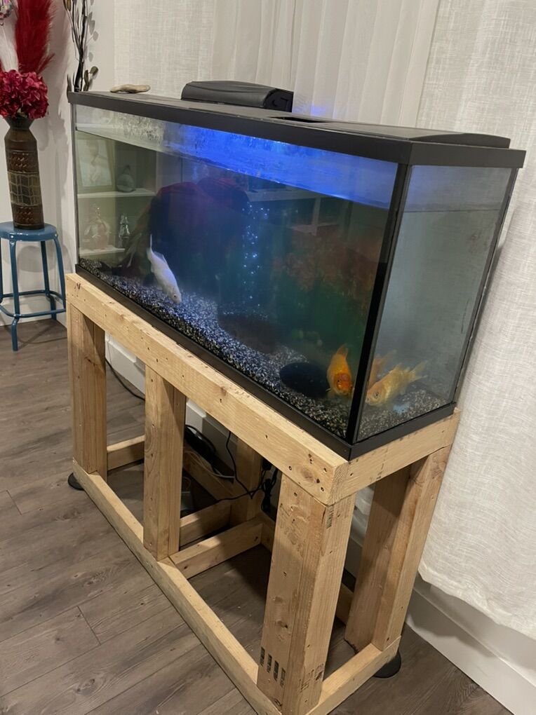 55 gallon Fish Tank and Stand