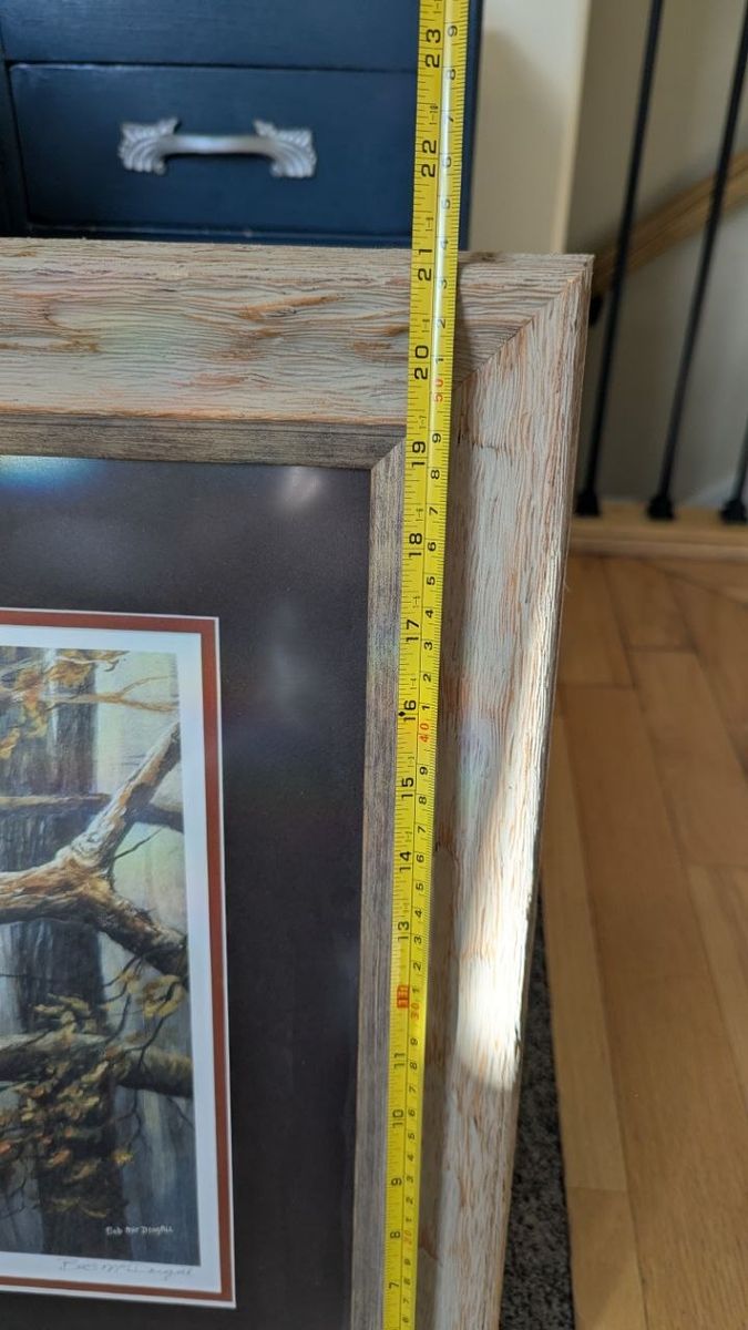 Main image 6