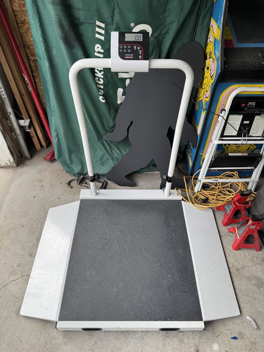 Rice Lake H350-10-3M Dual Ramp Wheelchair Scale