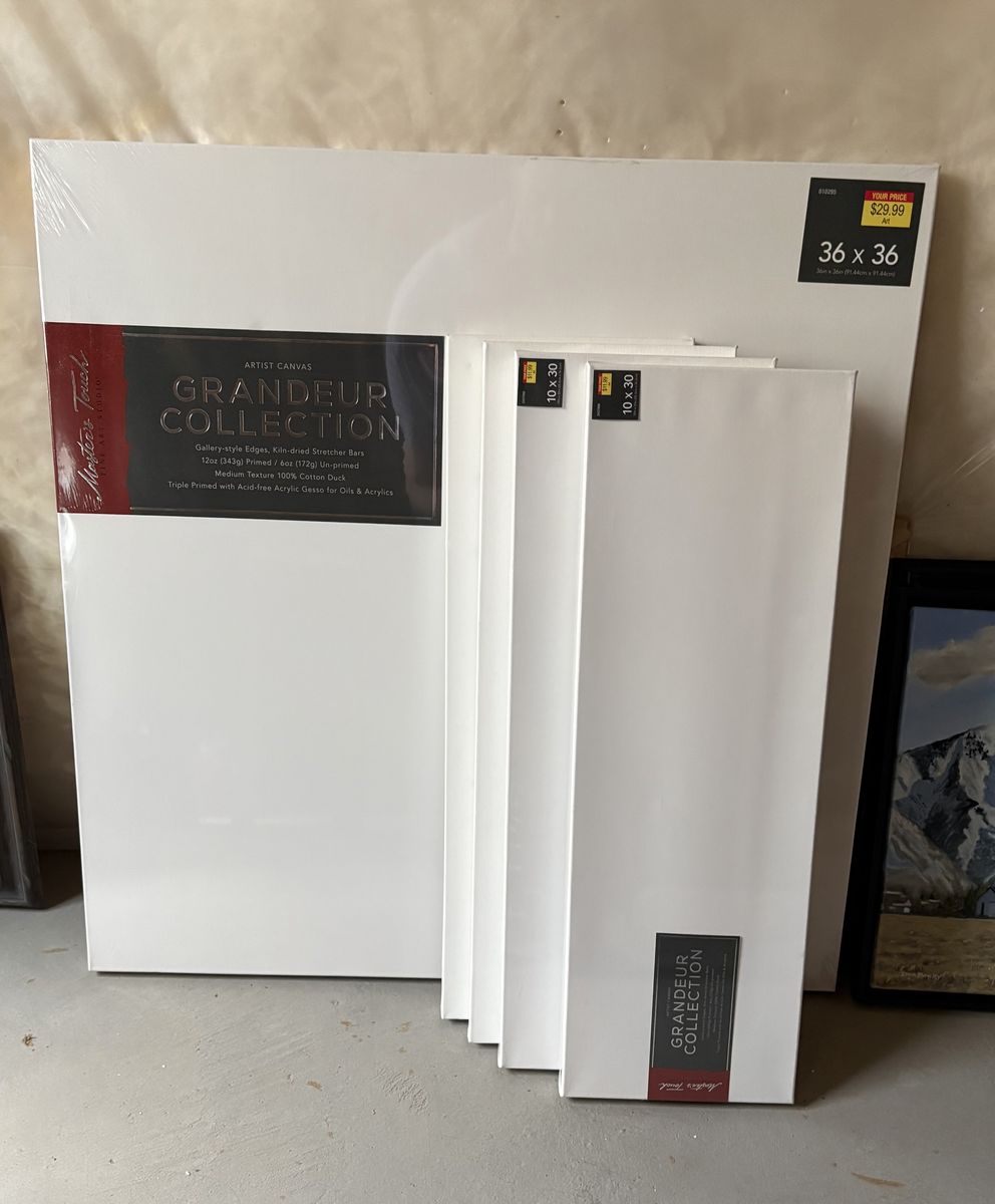 New Oil Paint Canvases - Never Used: 4-10x30; 1-36x36 and 1-24x48