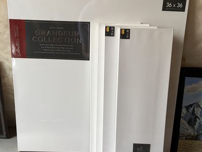 New Oil Paint Canvases - Never Used: 4-10x30; 1-36x36 and 1-24x48