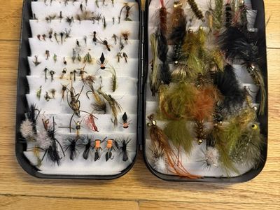 Box Of 80+ fly Fishing Nymphs And Small Flies