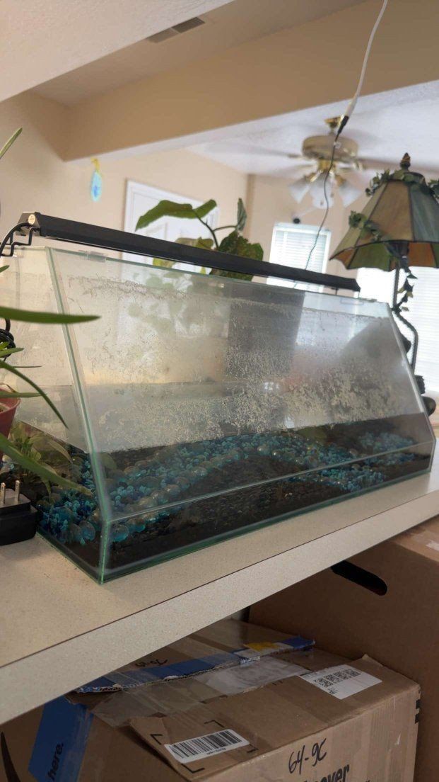 10 gallon angled tank
