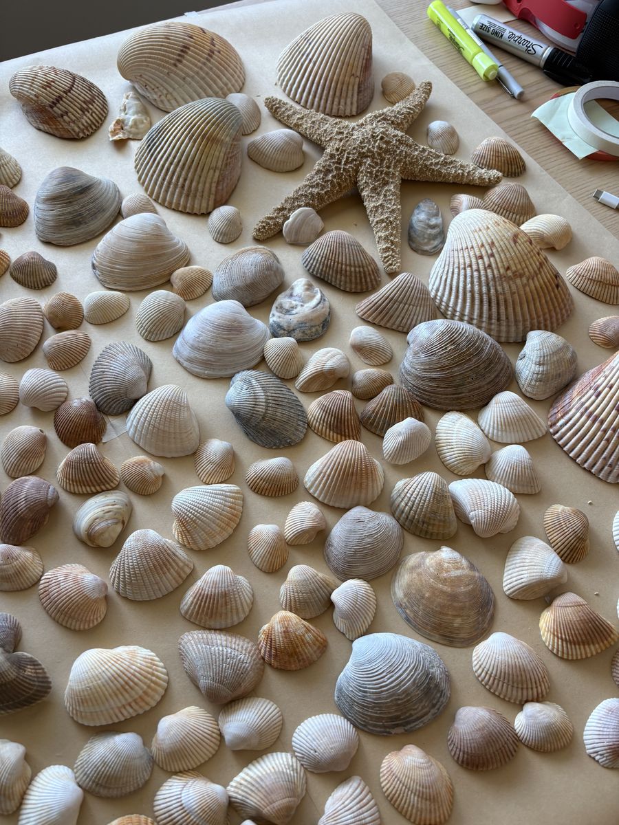 Main image 5