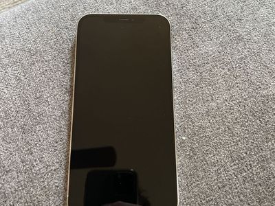 iPhone 12 Pro Max 256 GB