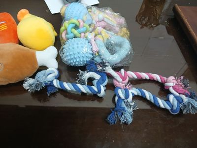 Assorted Dog Toys - Plush Food Shapes, Rope Chew Toys & Squeaky Rubber Balls, 10+ Pack-Section Extras